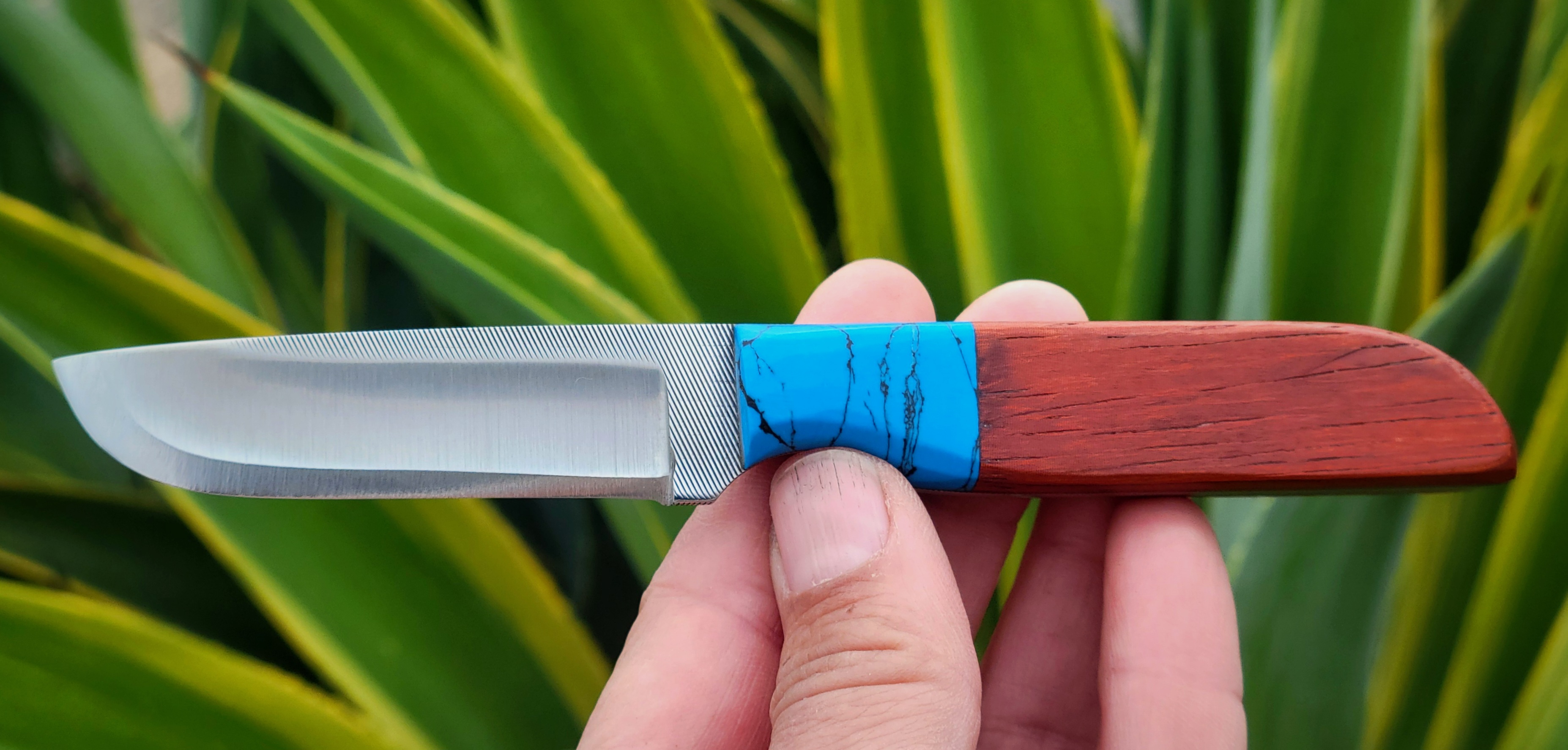 8F BAMBINO-TURQ RECON-PADUAK-SATIN POLISHED