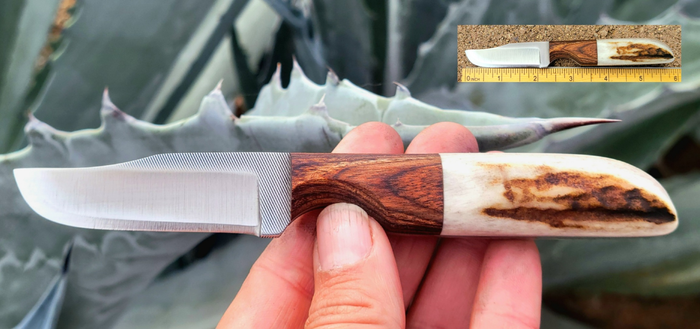 8F BOWIE-WALNUT-ELK