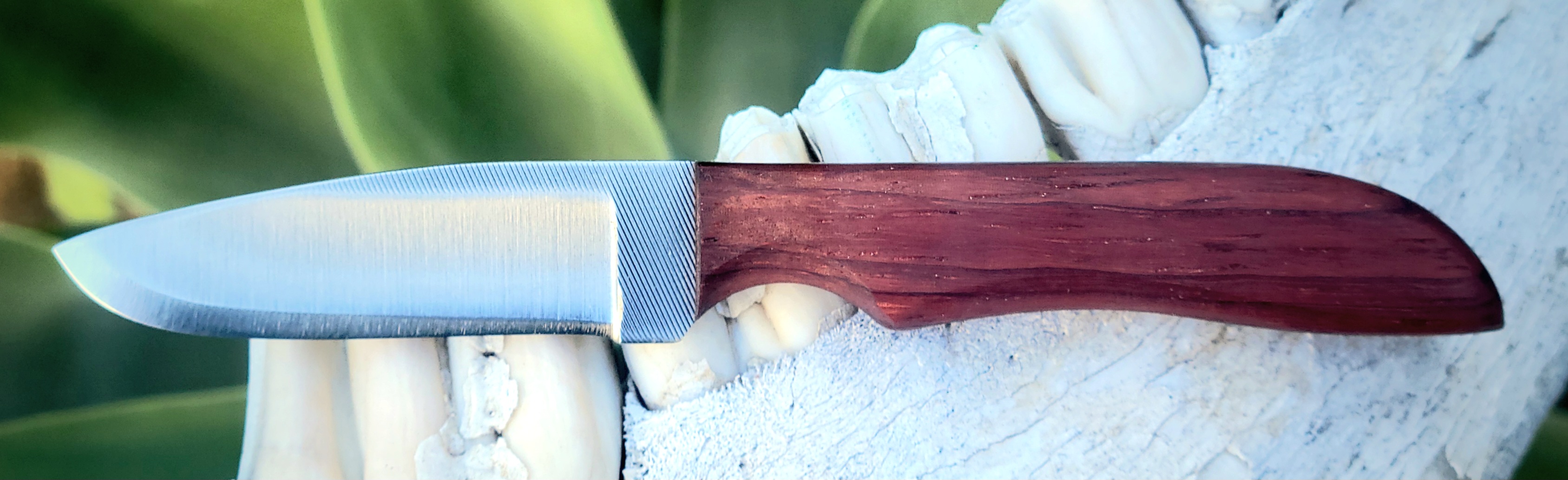 8F BAMBINO-PADUAK EXOTIC HARDWOOD