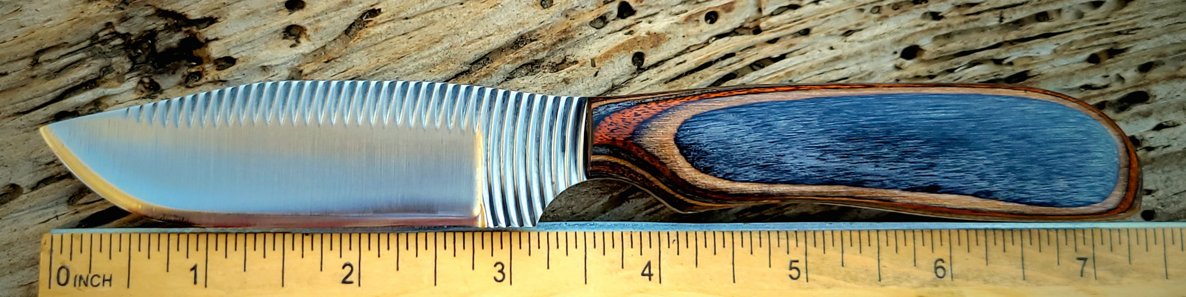 10F BORDER KNIFE-CURVETOOTH-BUCKSKIN