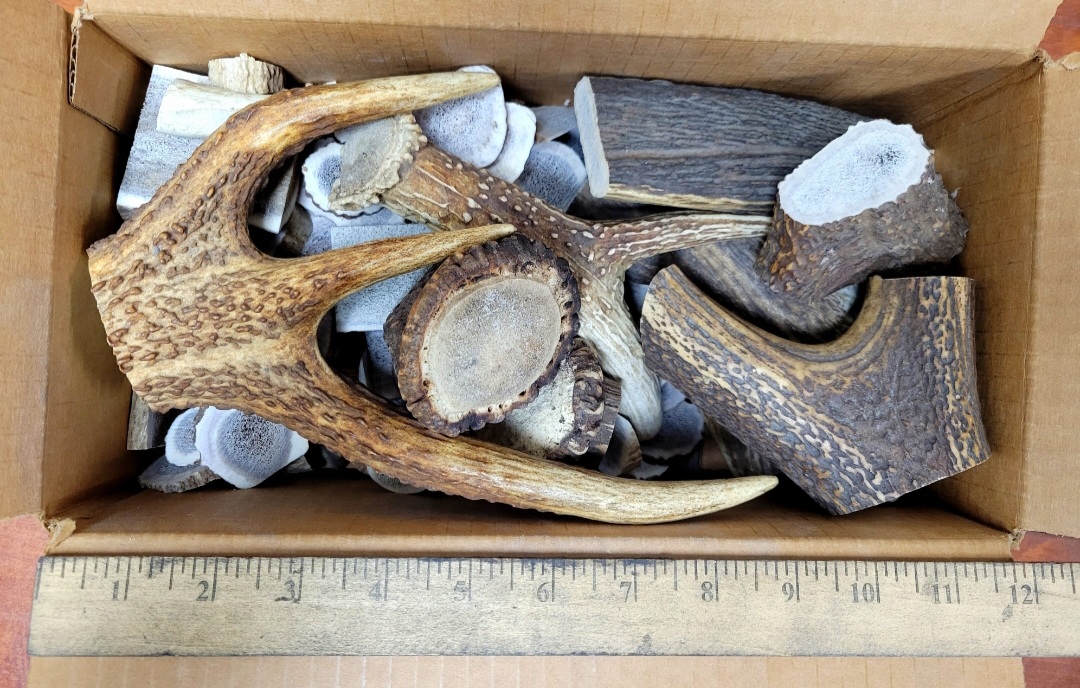 SIX POUNDS OF ELK: HORN/TIPS/CROWNS/SLICES